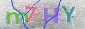 キャプチャ画像
